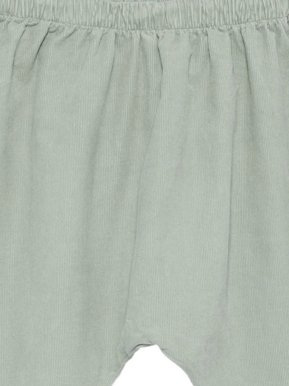 TEDDY & MINOU Ribfluwelen chino Groen