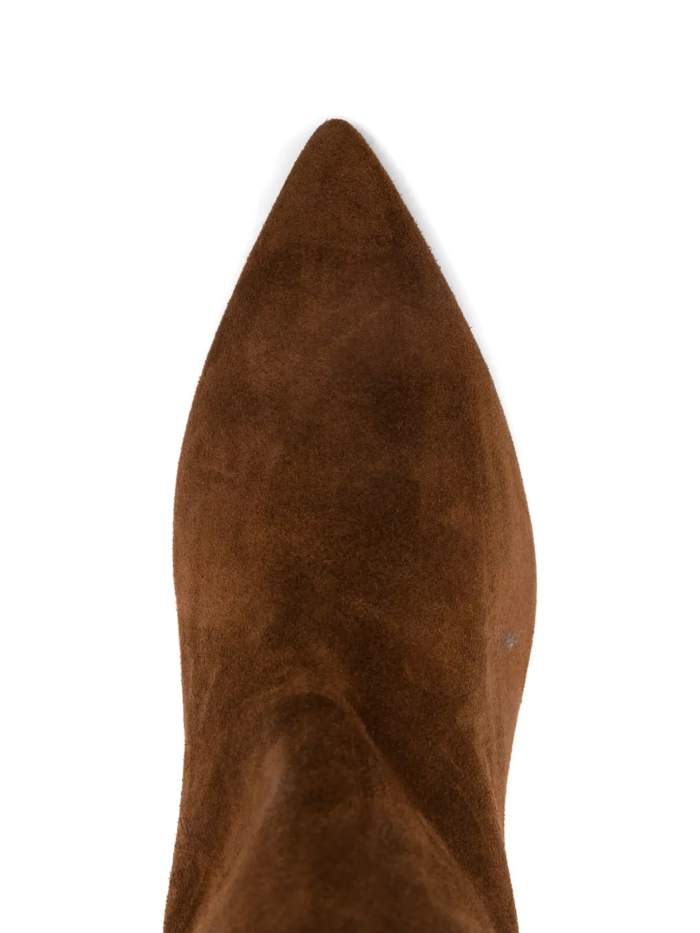 Anna F Pointed-toe Knee-high Boots In Brown