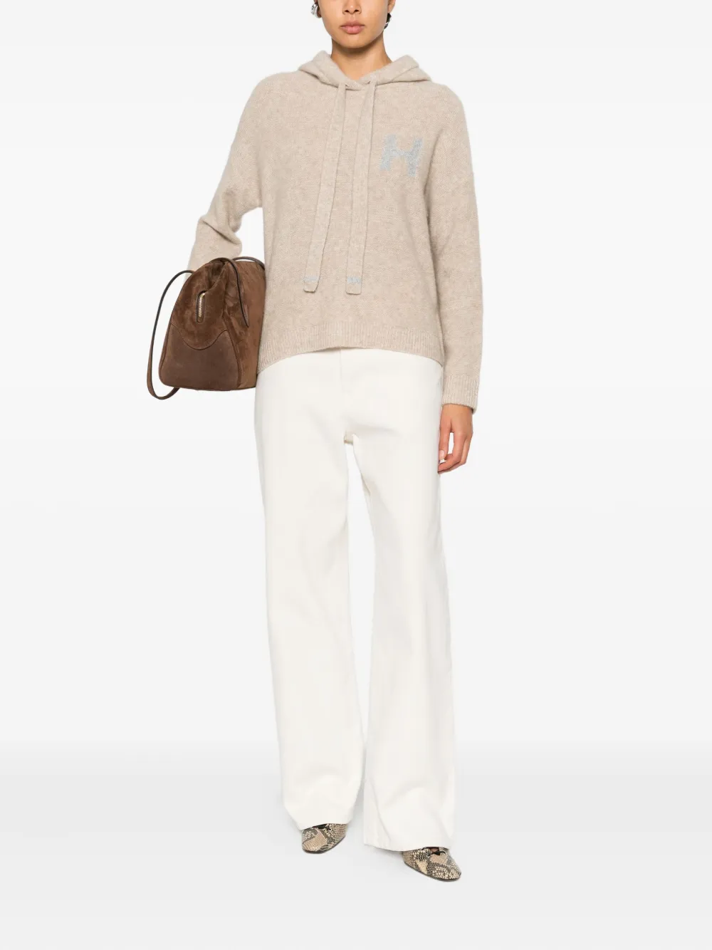 Hemisphere Logo Hooded Hoodie In Neutral