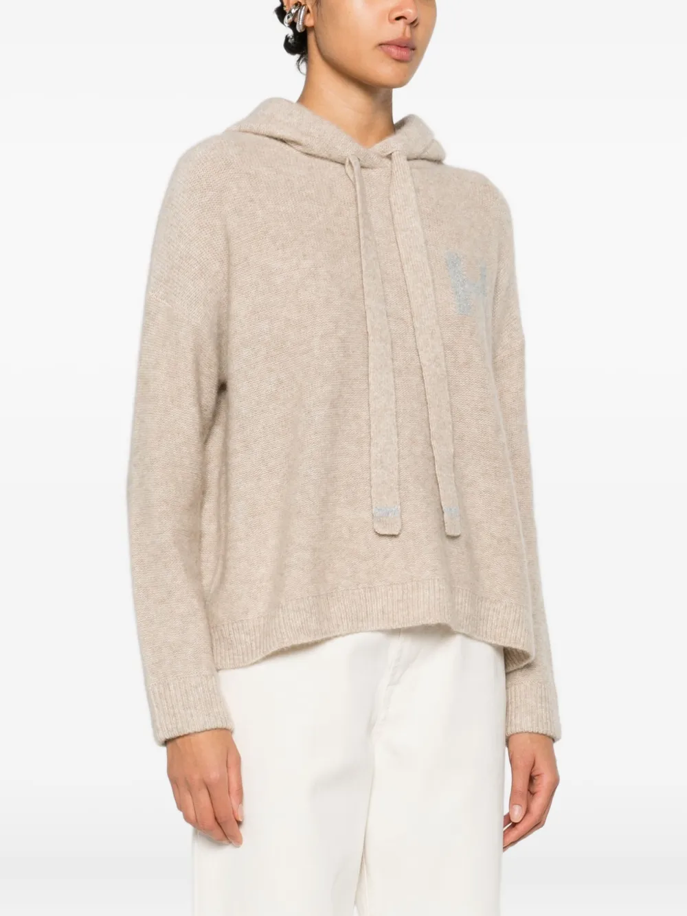 Hemisphere Logo Hooded Hoodie In Neutral