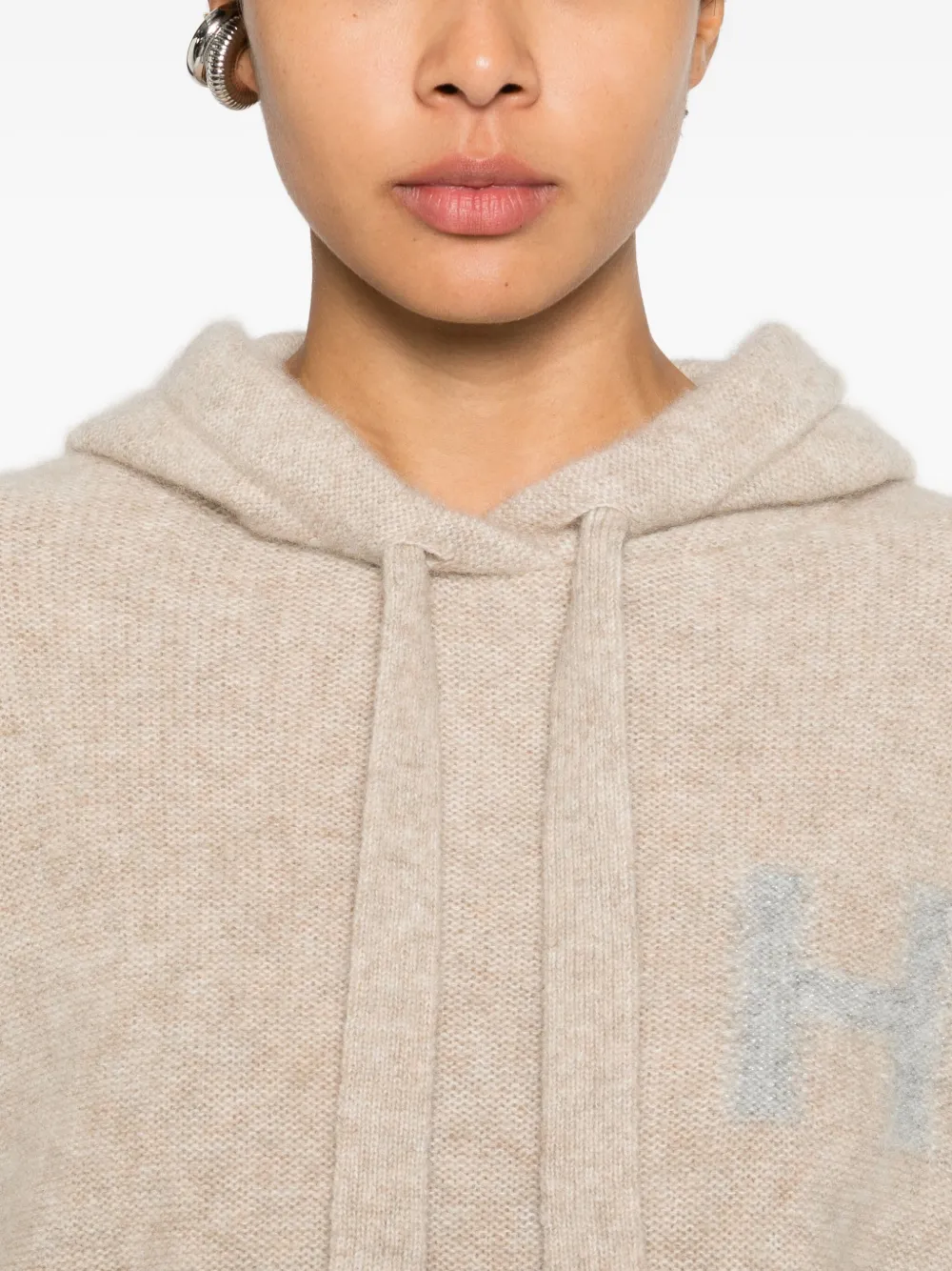 Hemisphere Logo Hooded Hoodie In Neutral