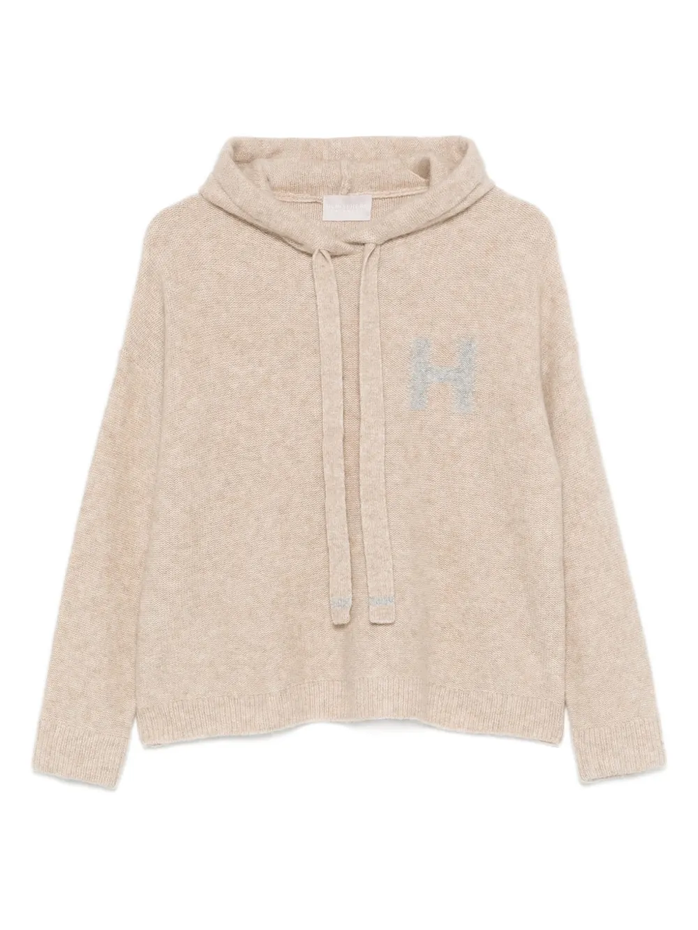 Hemisphere Logo Hooded Hoodie In Neutral