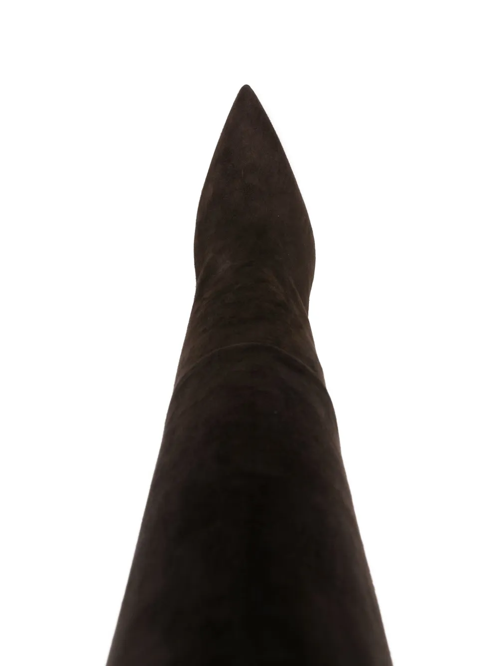 Anna F Pointed-toe Knee-high Boots In Brown