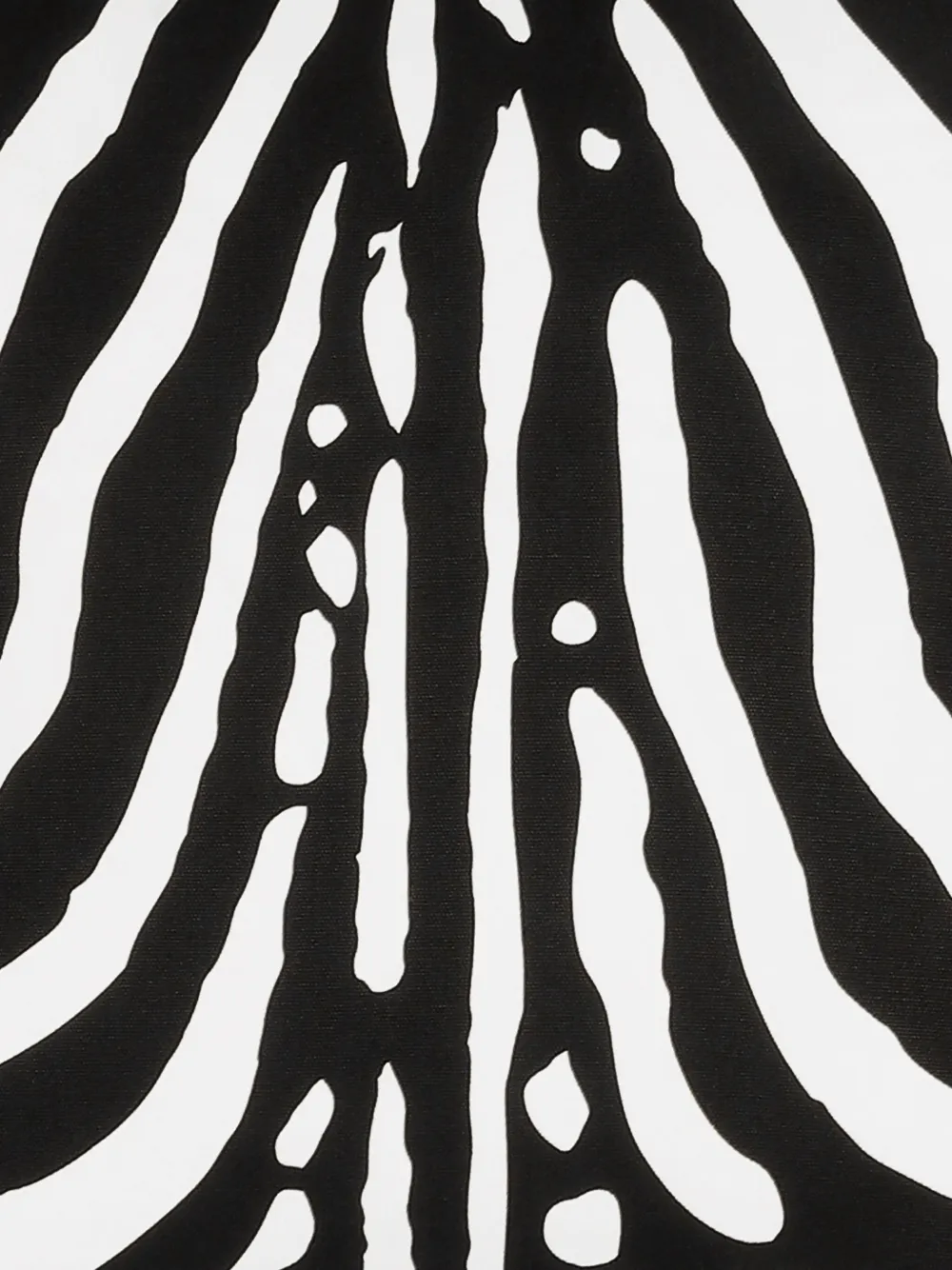  Dolce & Gabbana Medium Zebra-print Canvas Cushion (50cm X 50cm) - Black 
