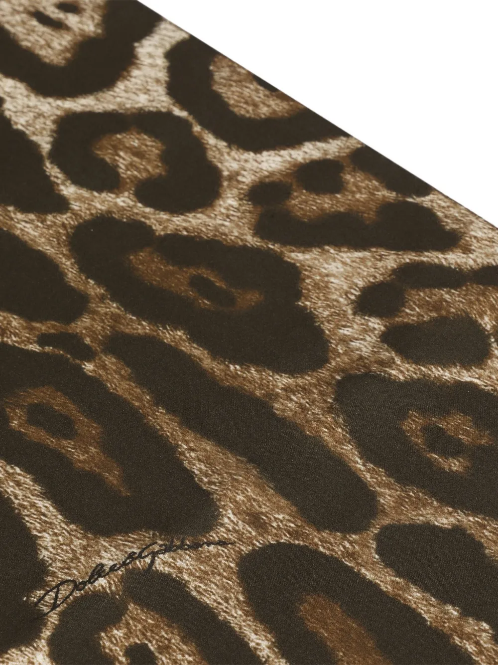 Dolce & Gabbana Kissenbezüge Mit Leoparden-print (2er-set) In Brown