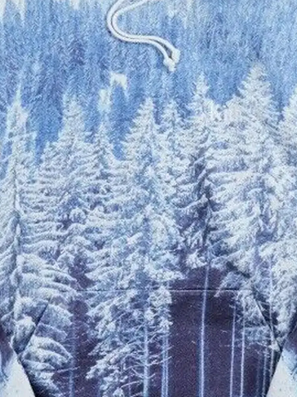 KITH Winter Forest hoodie | Hoodies | Image 2