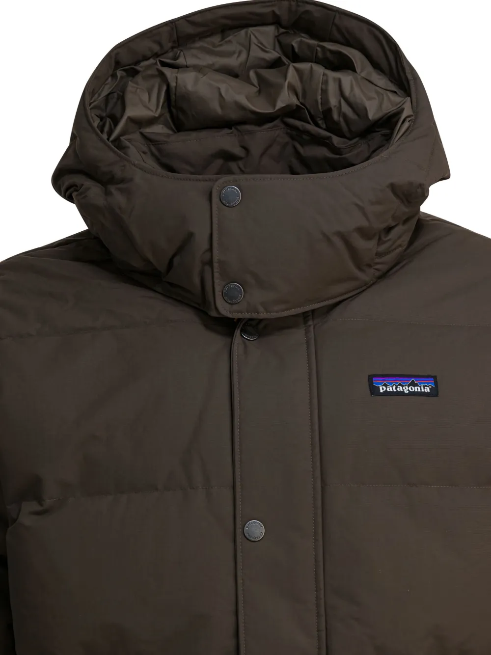Patagonia Donsjack met capuchon Bruin