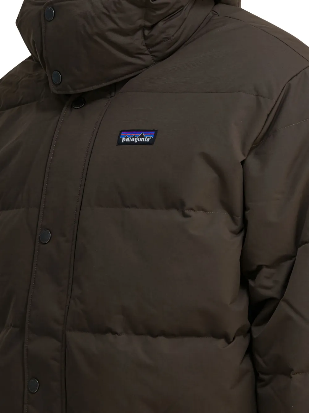 Patagonia Donsjack met capuchon Bruin
