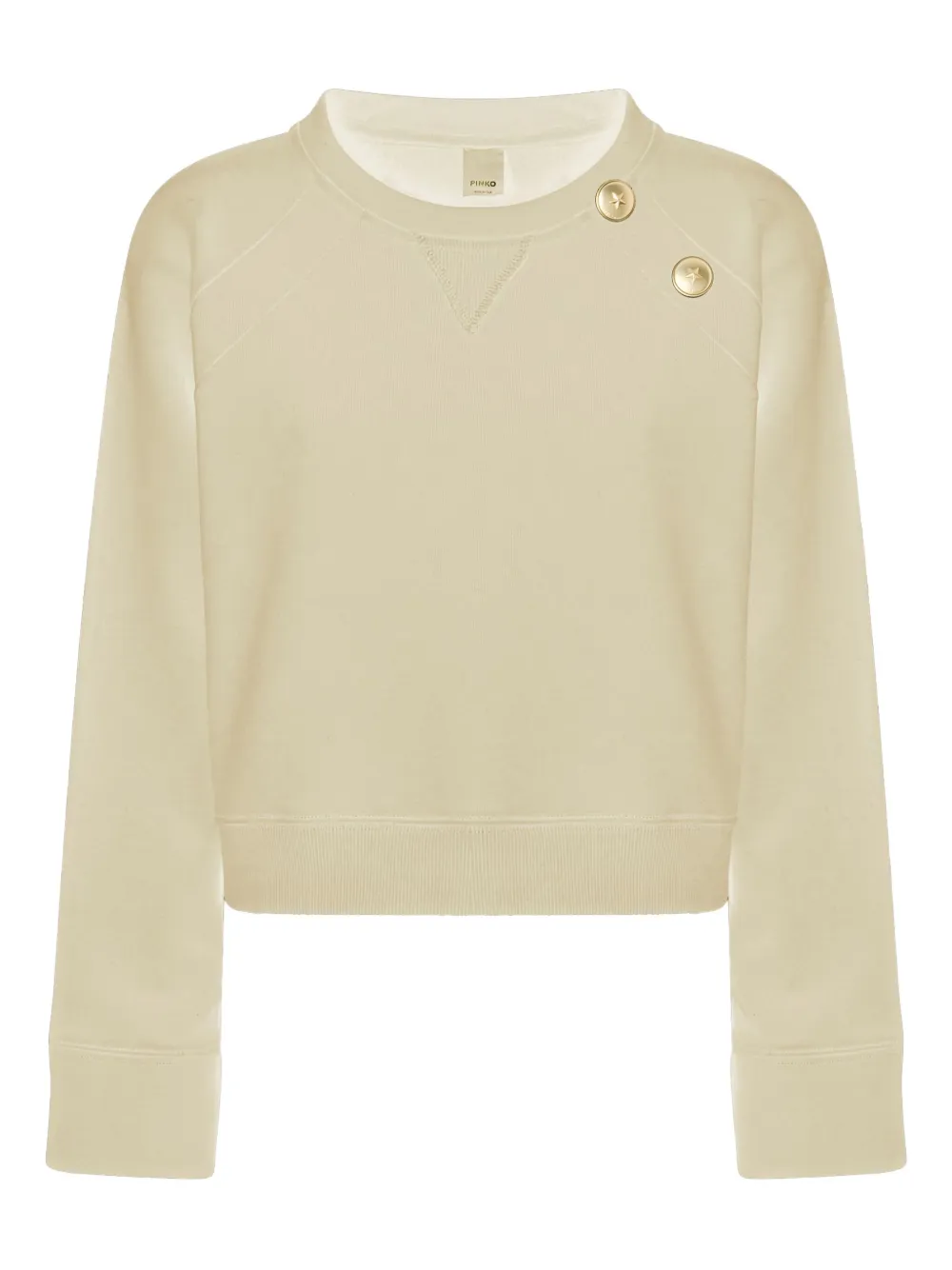 Pinko Cotton Sweatshirt With Buttons In Neutral