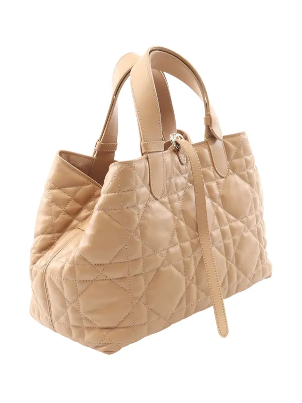 dior 2025 dior latest bag