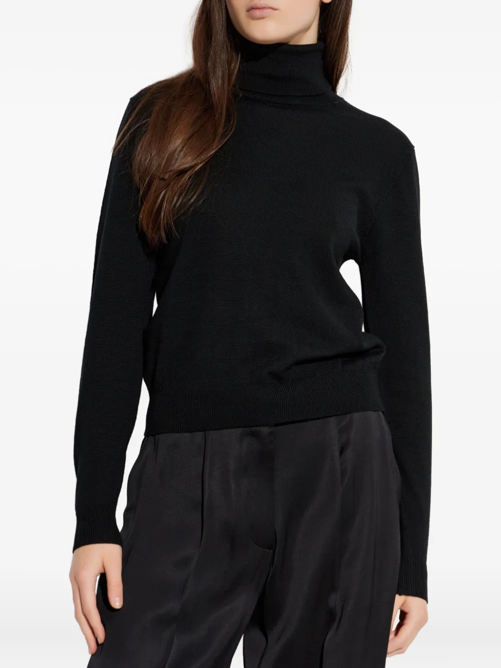 Add Roll-neck Knit Sweater In Black
