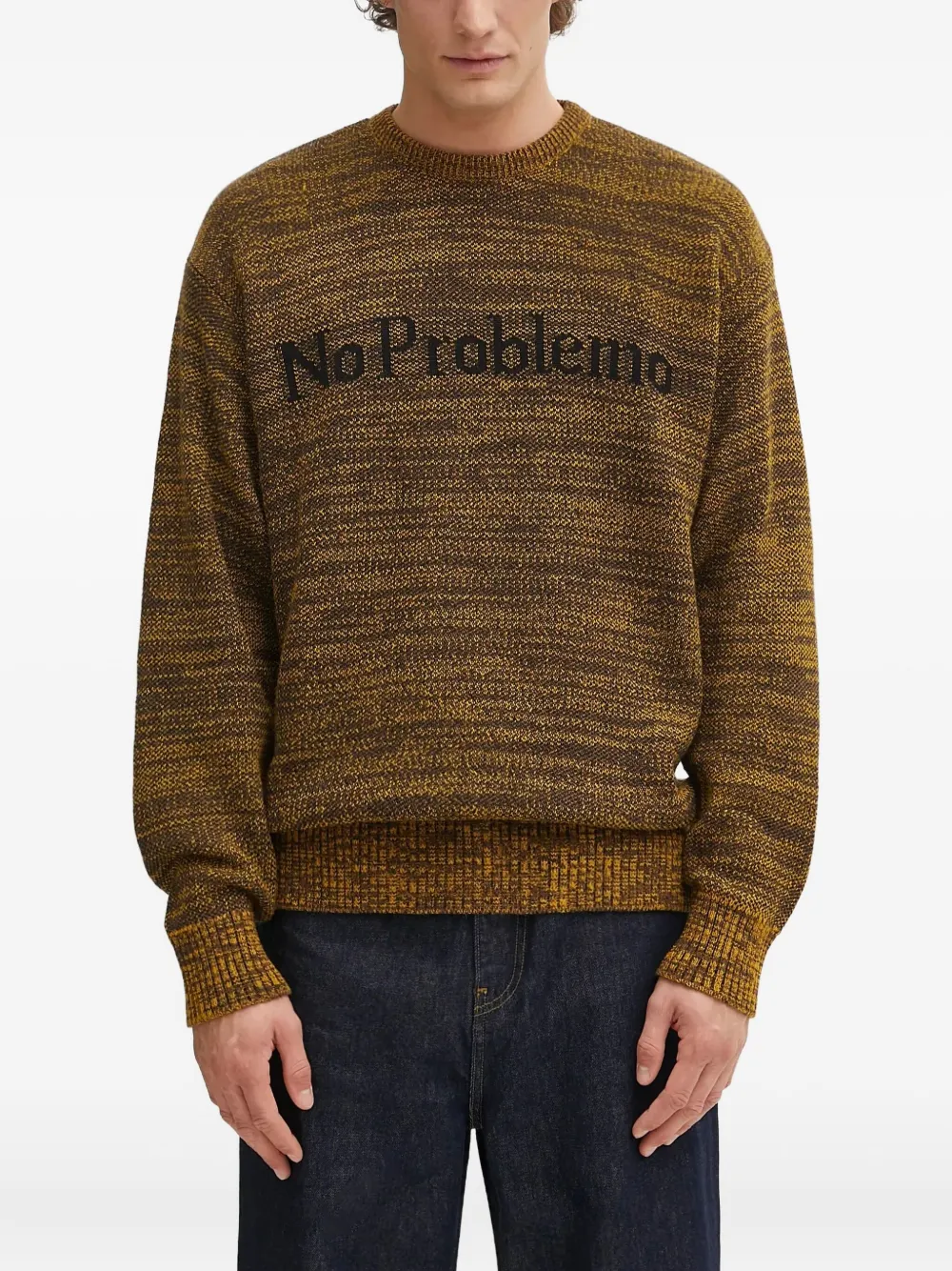 No Problemo Crew-neck Logo-detail Sweater In Brown