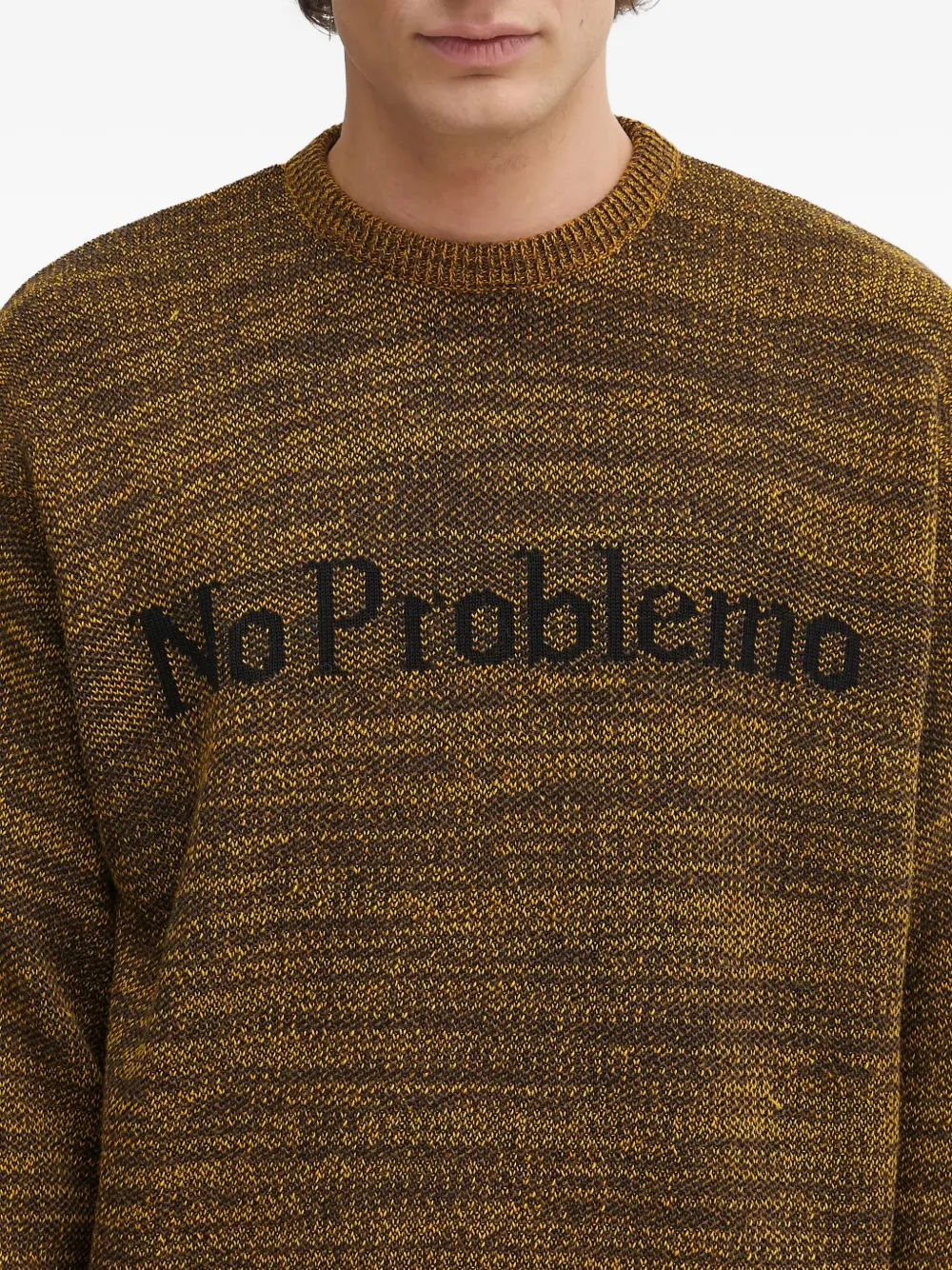 NO PROBLEMO Trui met ronde hals en logodetail Bruin