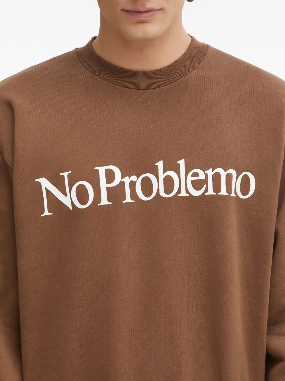 NO PROBLEMO Sweater met logodetail Bruin