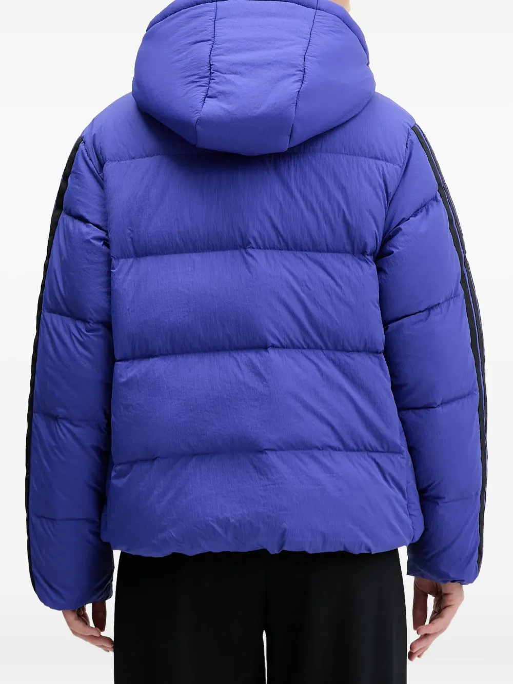 adidas Gewatteerd jack Blauw