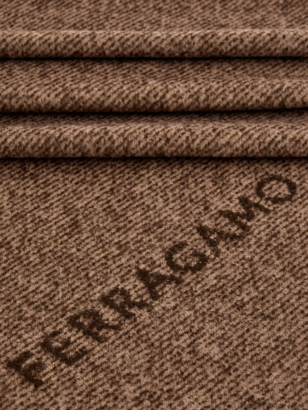 Ferragamo Jacquard Fringed Scarf In Brown