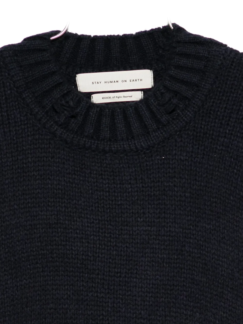 Stay Human On Earth Crew Neck Sweater In Blue