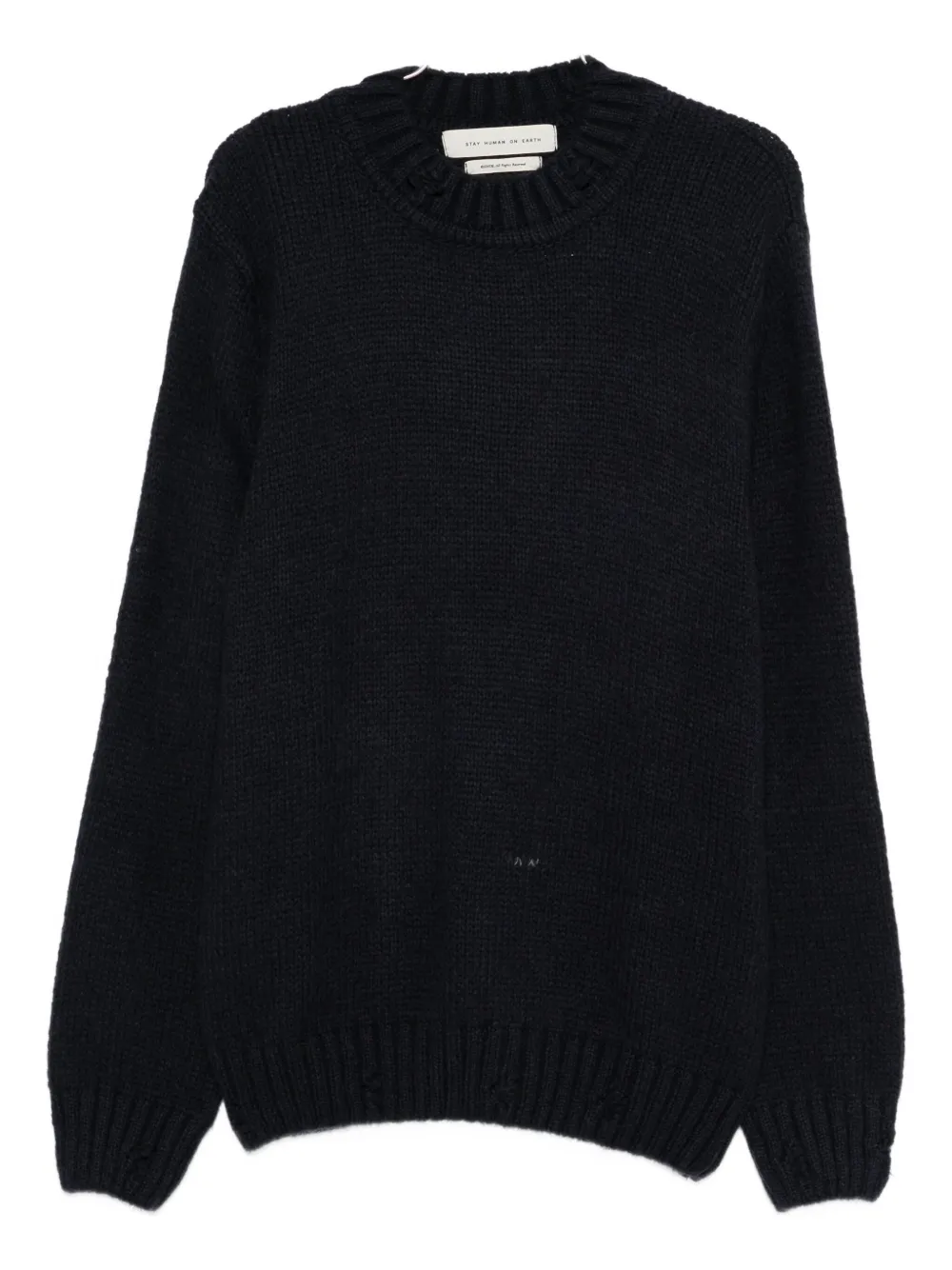 Stay Human On Earth Crew Neck Sweater In Blue
