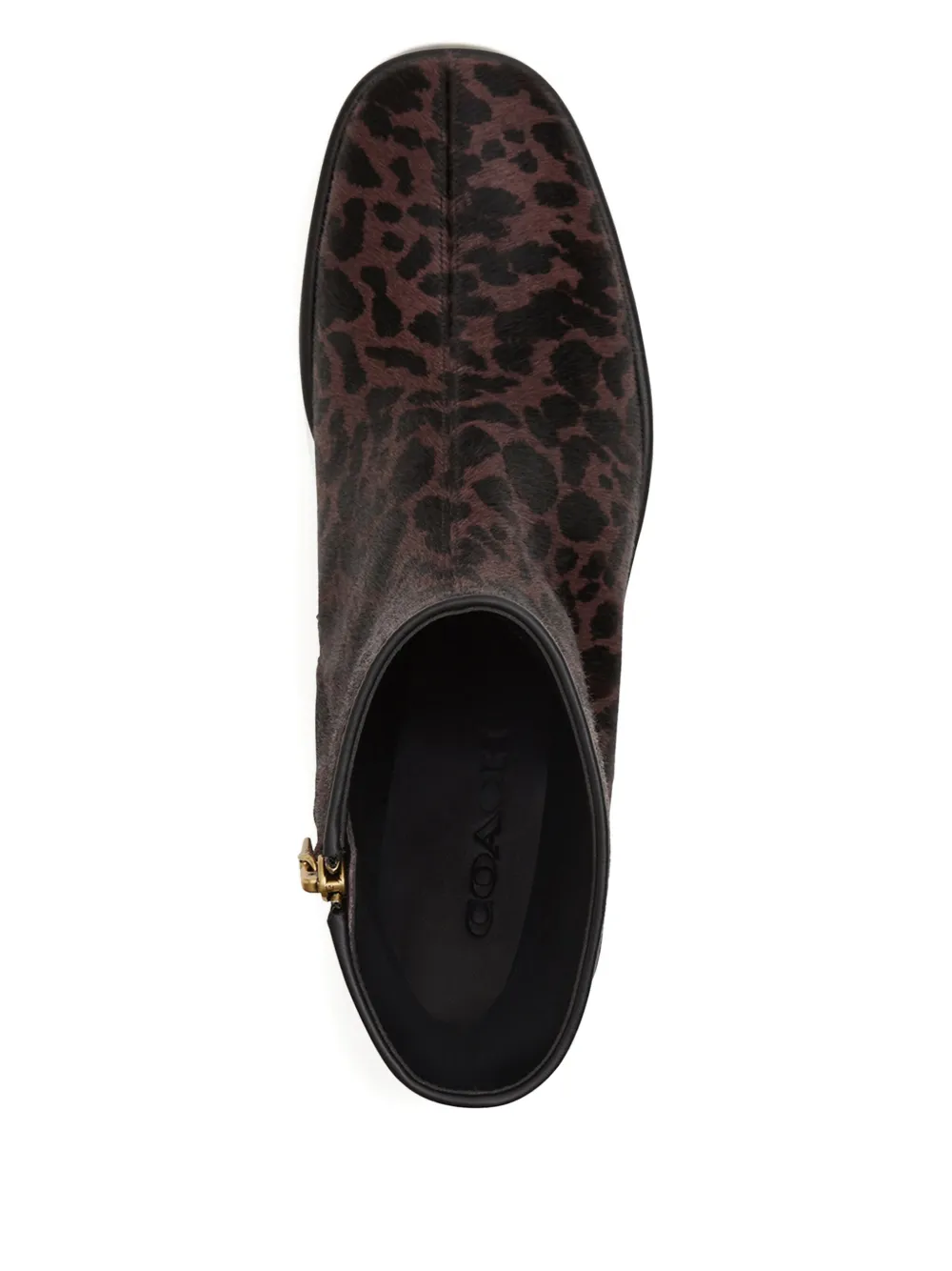 Coach Leopard-print Ankle Boots In Animal Print
