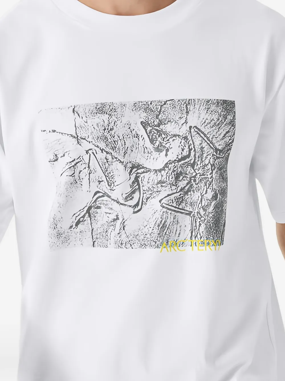 Arc'teryx Kragg grafisch T-shirt Wit