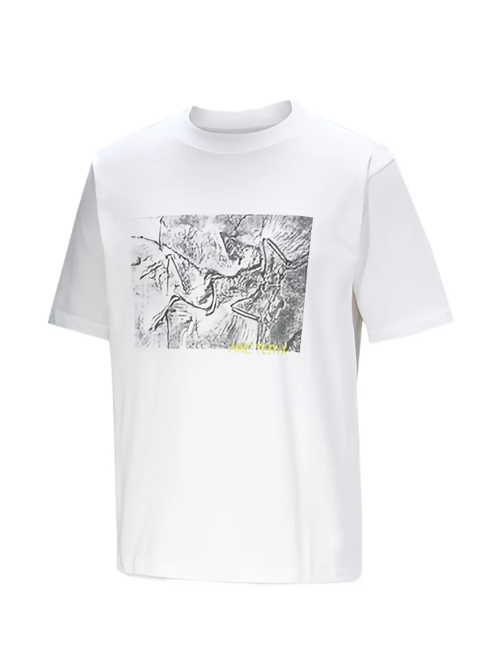 Arc'teryx Kragg graphic T-shirt - Bianco