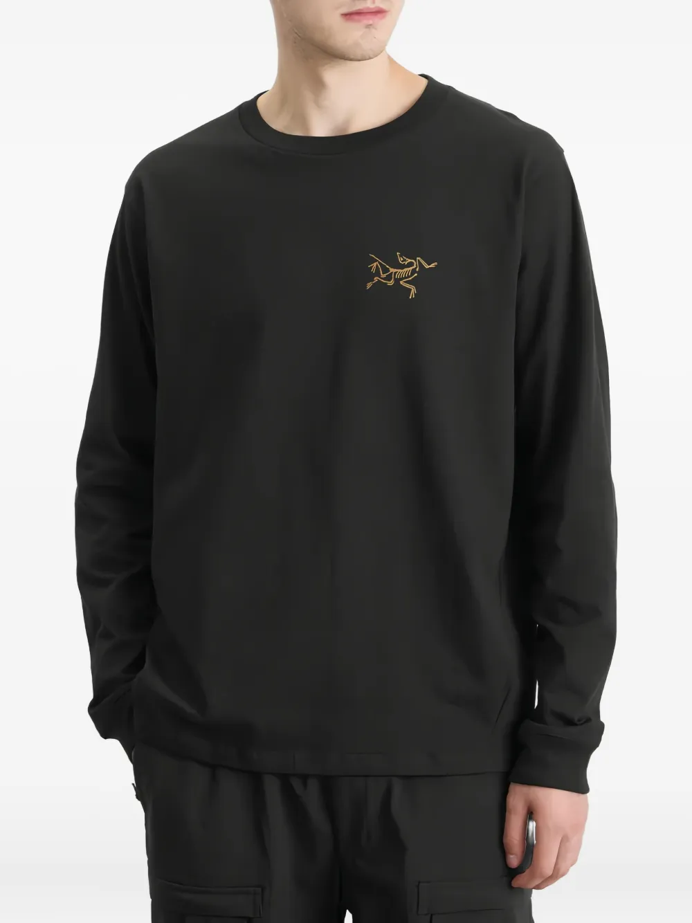 Arc'teryx Kragg Logo Long-sleeve T-shirt In Black