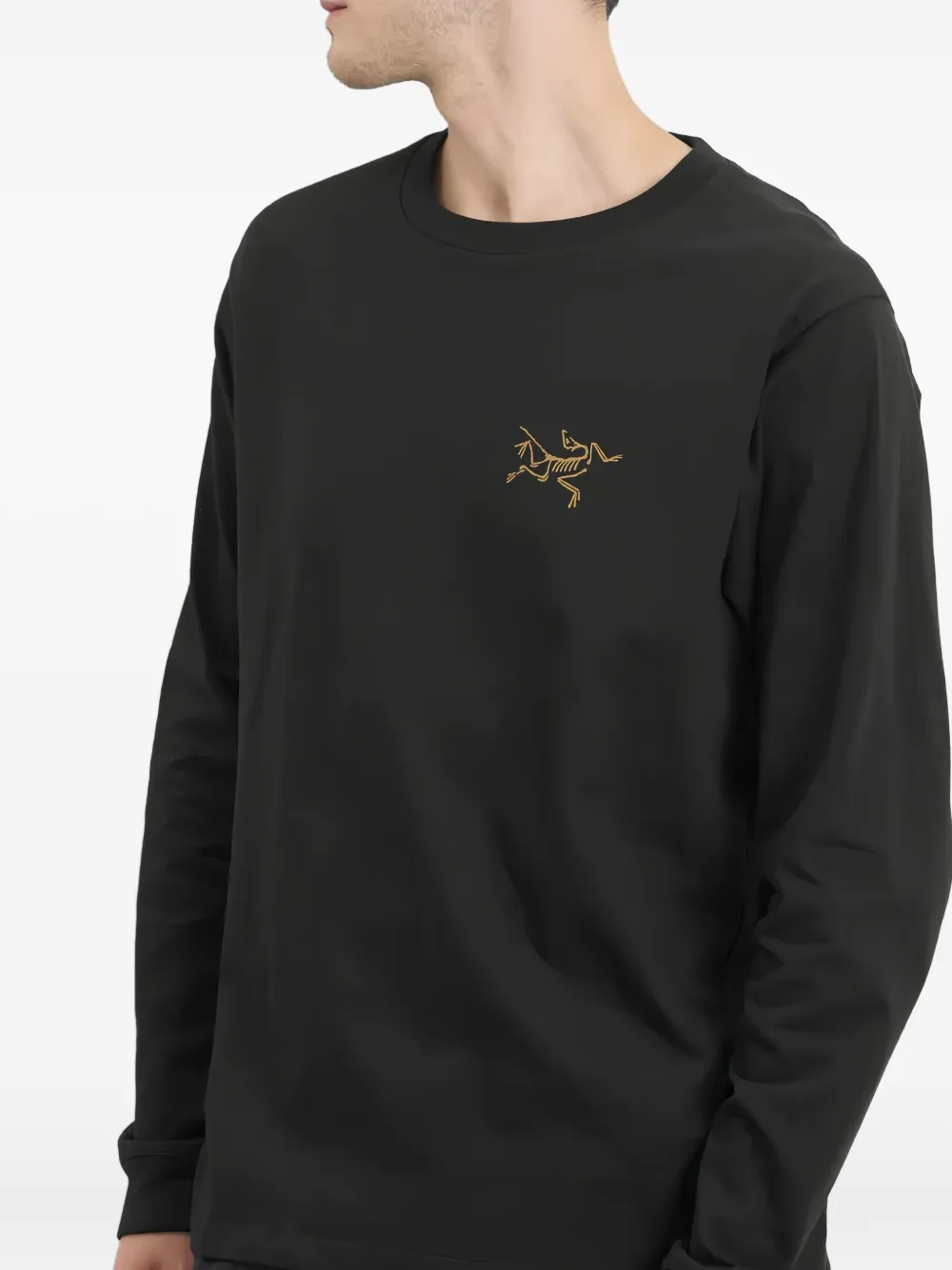 Arc'teryx Kragg Logo Long-sleeve T-shirt In Black