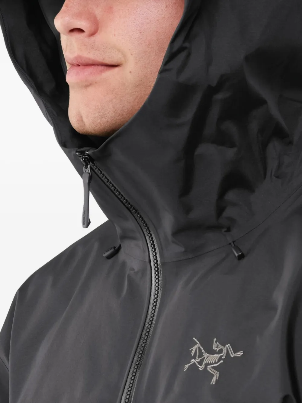 Arc'teryx Beta SL jack met capuchon en rits Zwart
