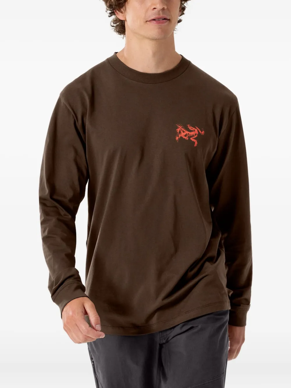 Arc'teryx Kragg SL logo graphic long-sleeve T-shirt - Bruin