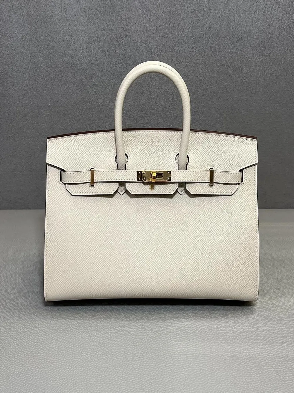 Pre-owned Hermes 2022 Birkin 25 Handbag In Neutral