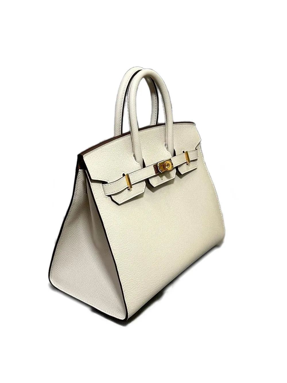 Pre-owned Hermes 2022 Birkin 25 Handbag In Neutral