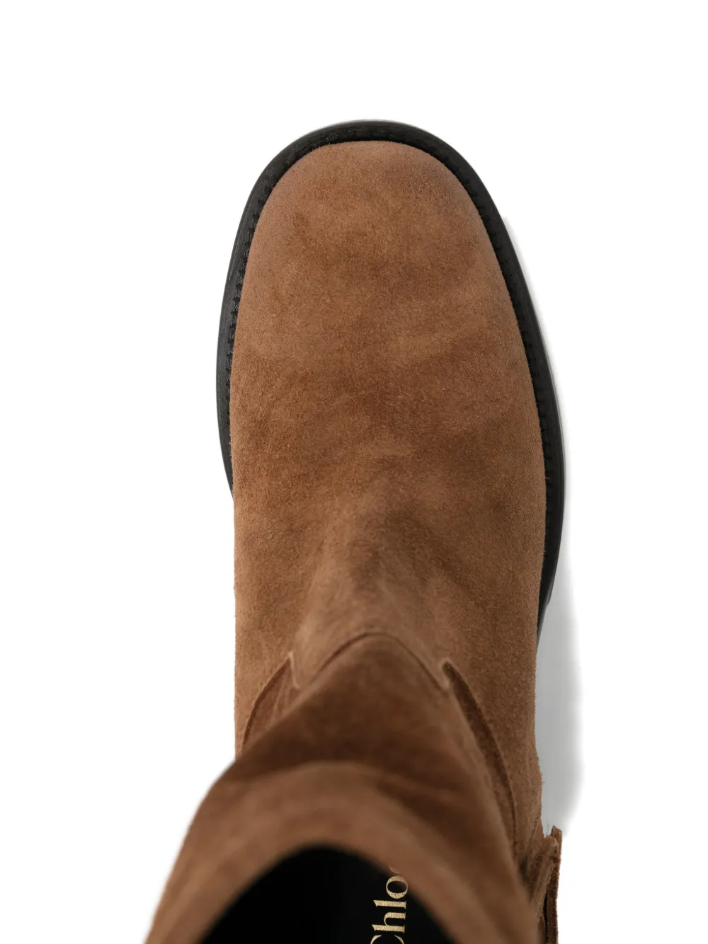 Chloé 60mm Dakota Biker Boots In Brown