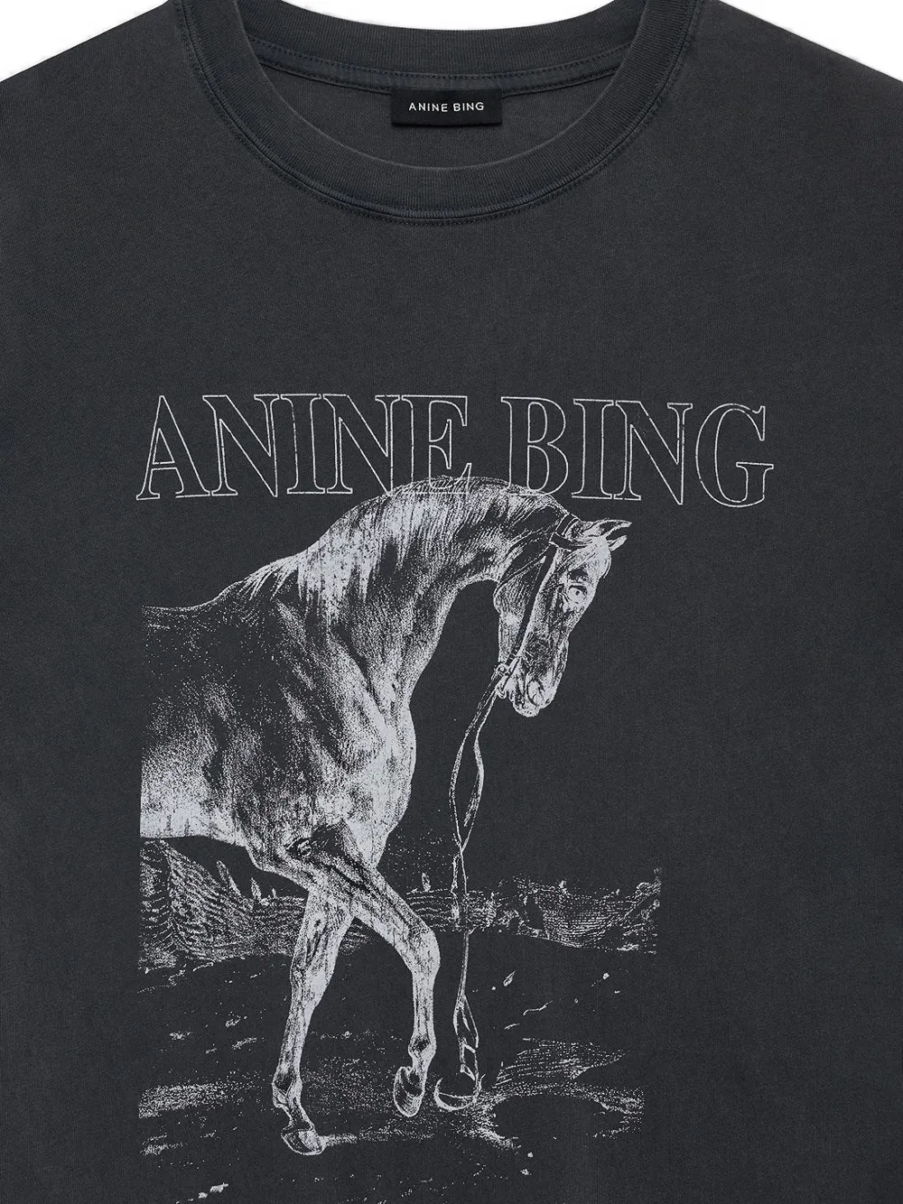 ANINE BING Lili Tシャツホース | ブラック | FARFETCH JP