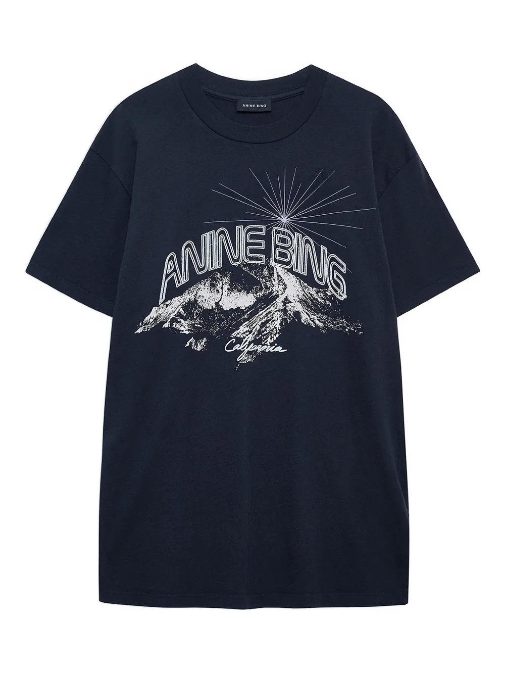 Anine Bing The Walker Crew-neck T-shirt In Blue