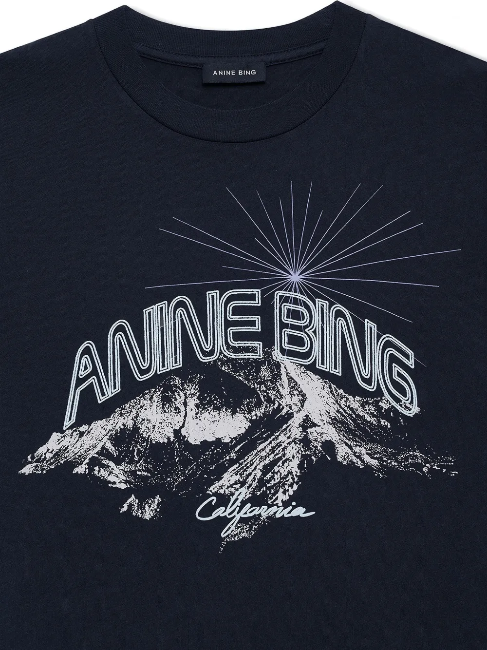 Anine Bing The Walker Crew-neck T-shirt In Blue