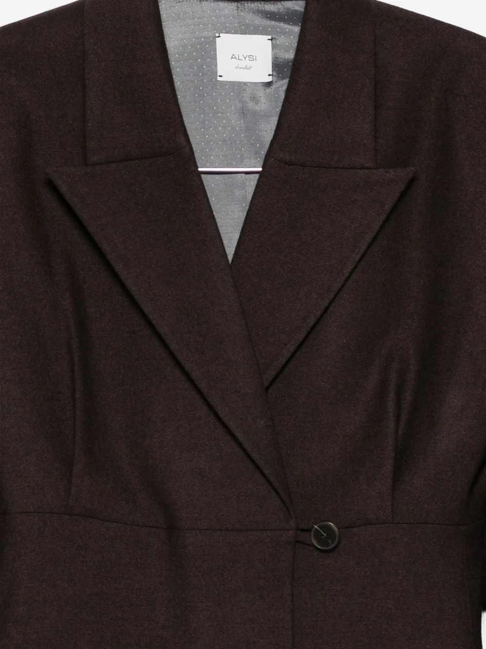 Alysi Wool Blazer In Brown