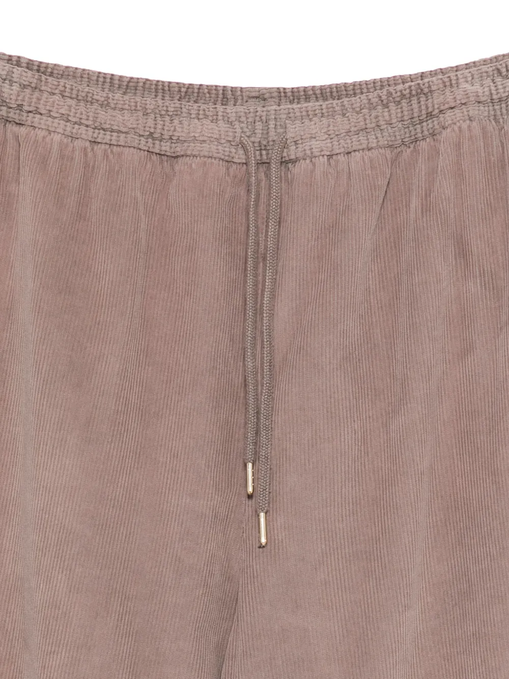 Briglia 1949 Ribfluwelen broek Bruin