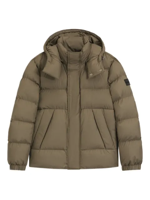 BOSS Corbinian5 hooded jacket