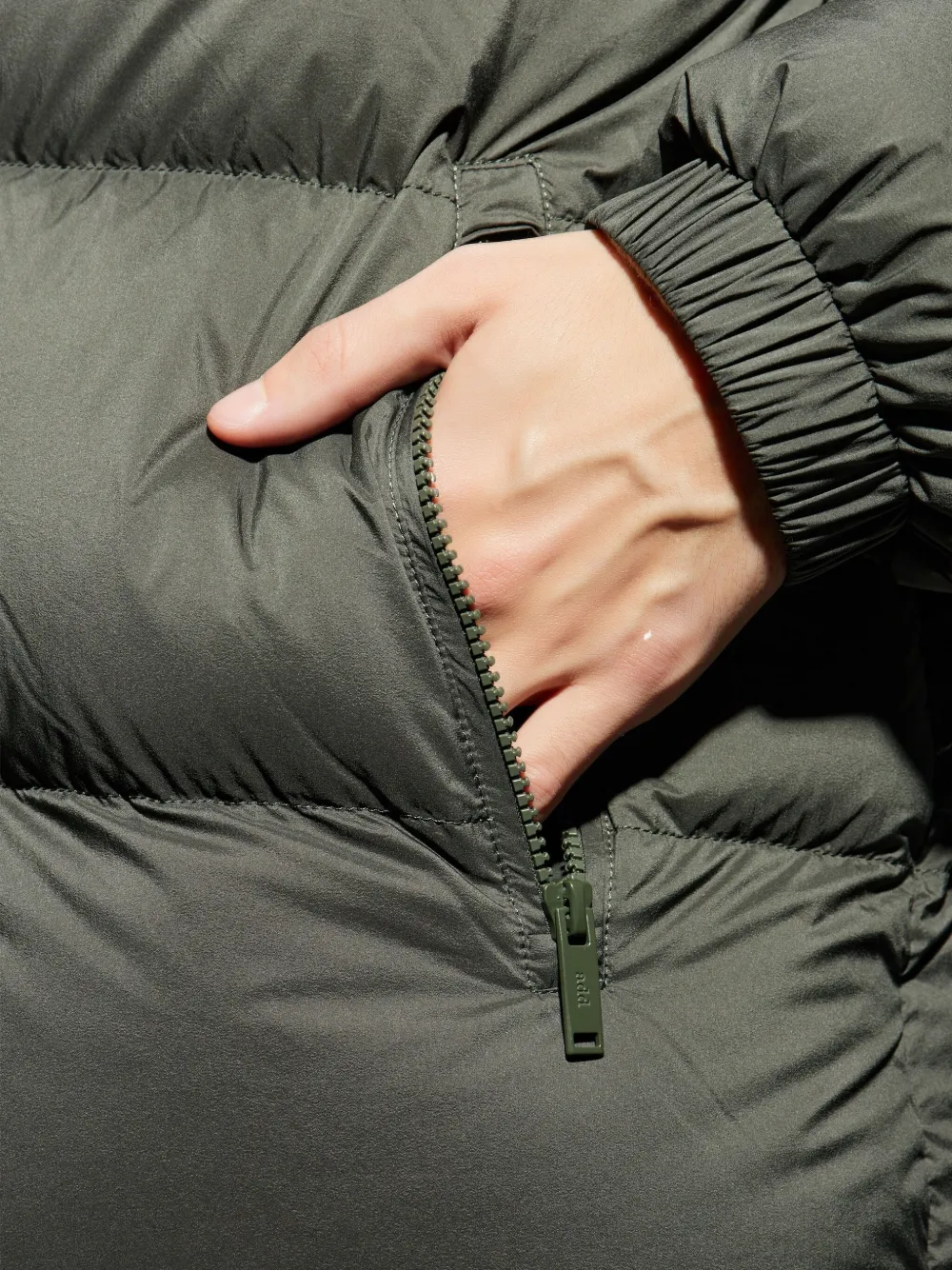 Add Gewatteerd jack met capuchon Groen