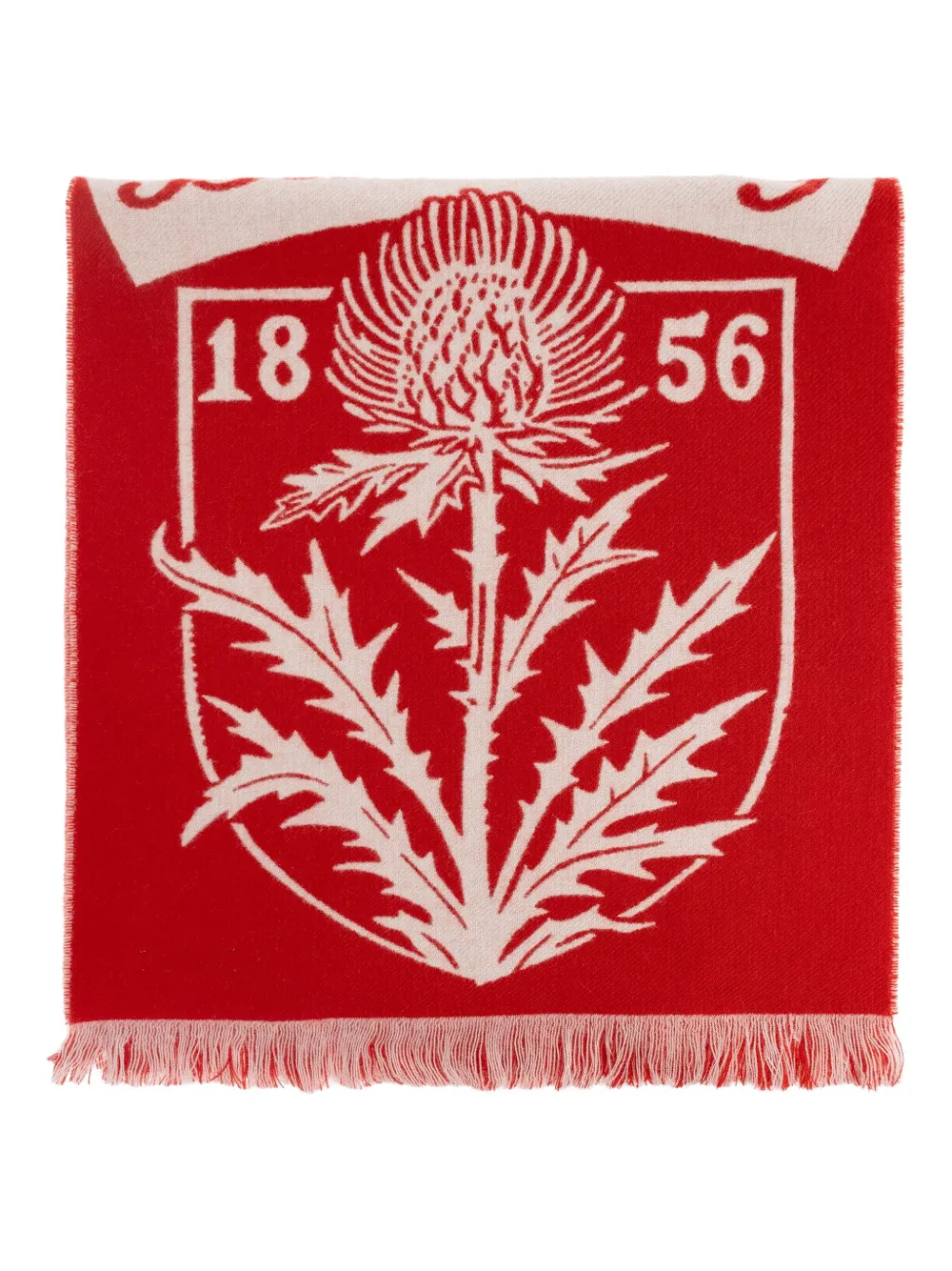 Burberry botanical-motif fringed scarf - Rosso