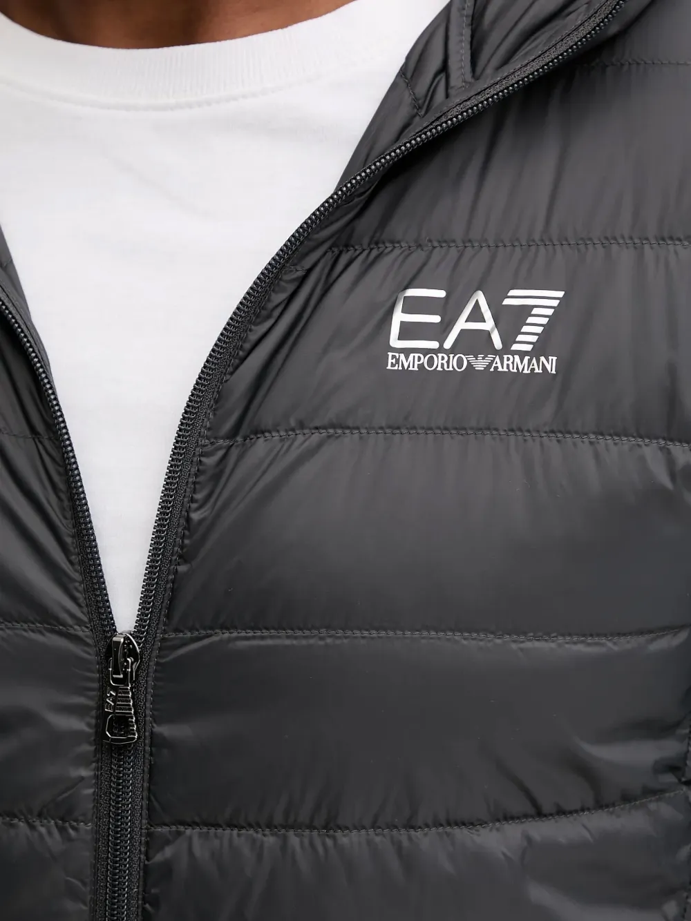 Ea7 Emporio Armani Jack met capuchon Grijs