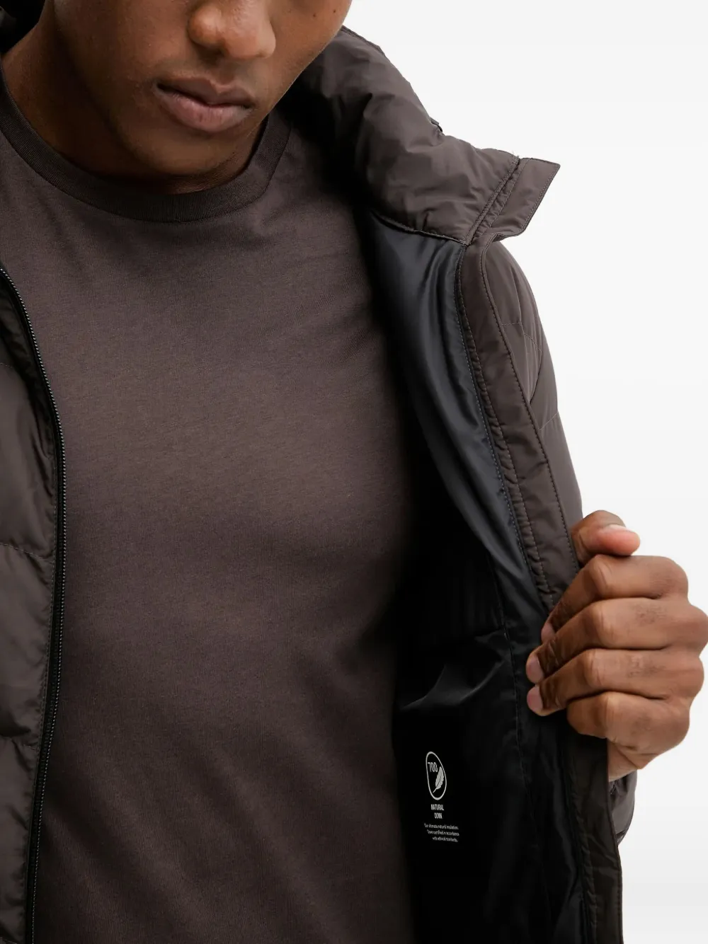 JACK WOLFSKIN Colonius gewatteerd jack met capuchon Bruin