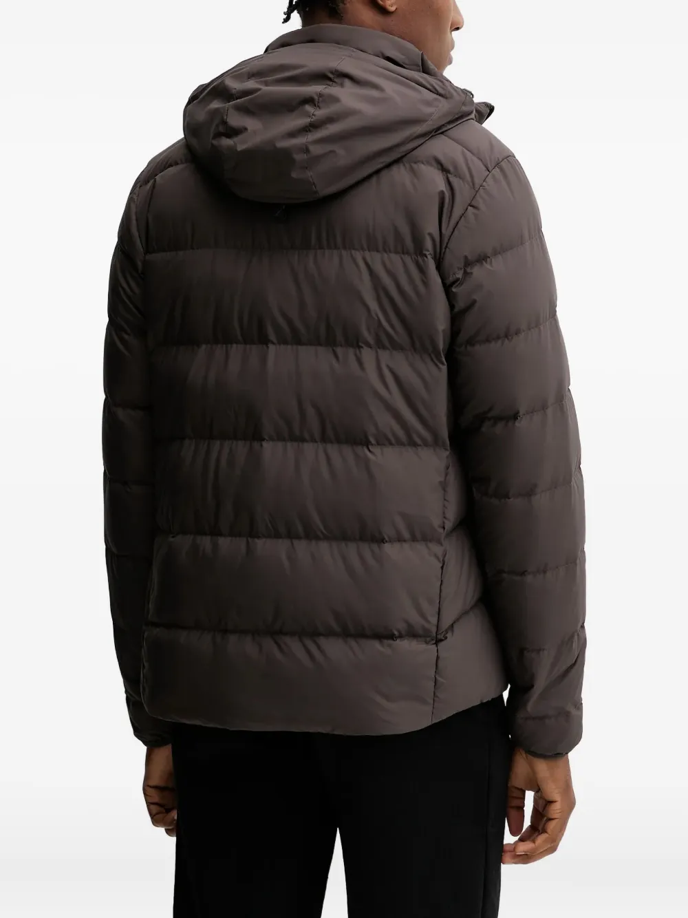 JACK WOLFSKIN Colonius gewatteerd jack met capuchon Bruin