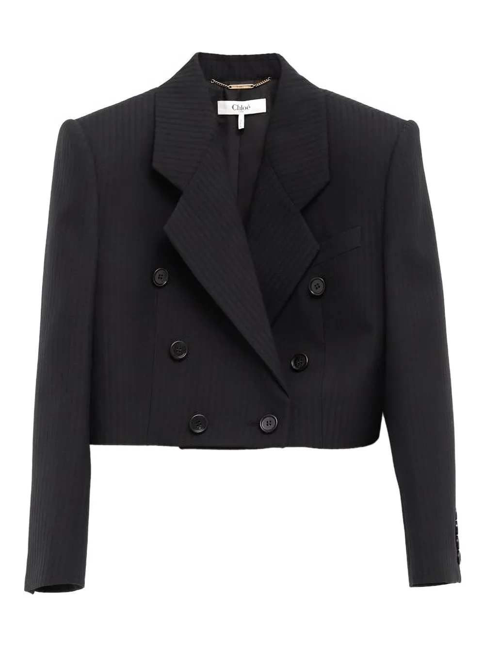 Chloé Spencer Striped Button Blazer In Black