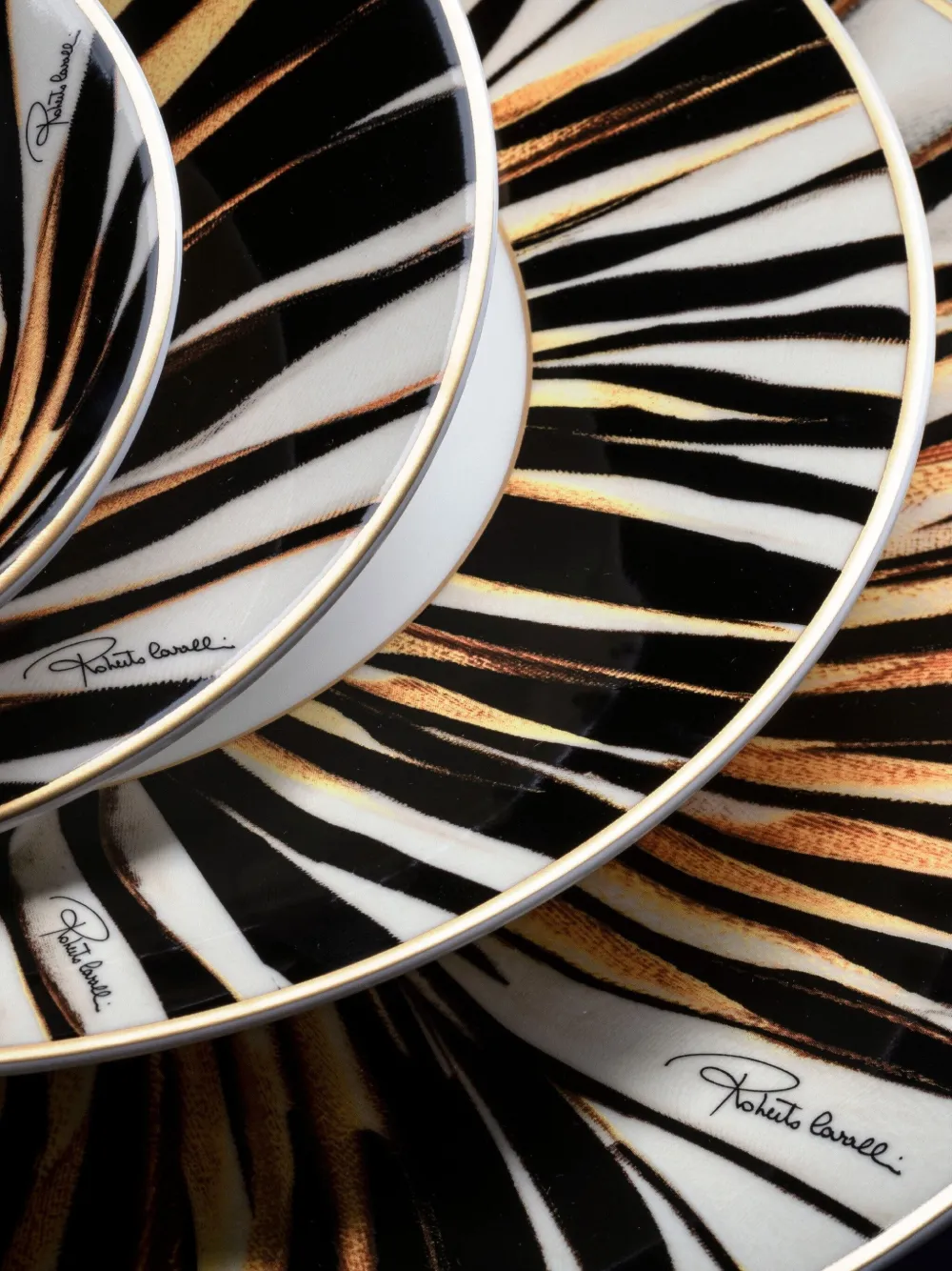 Roberto Cavalli Ray Of Gold dinner plates (set of two) | Tableware | Image 2