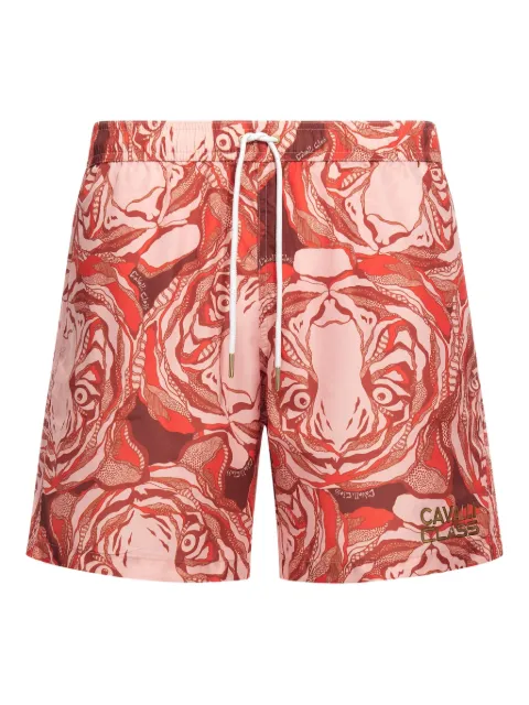 Roberto Cavalli Tiger print swim trunks