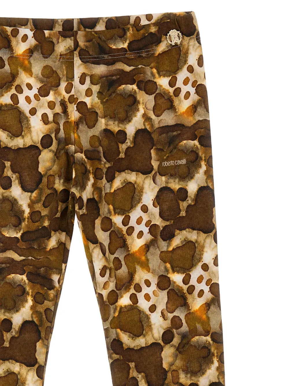 Roberto Cavalli Printed Trousers In Brown