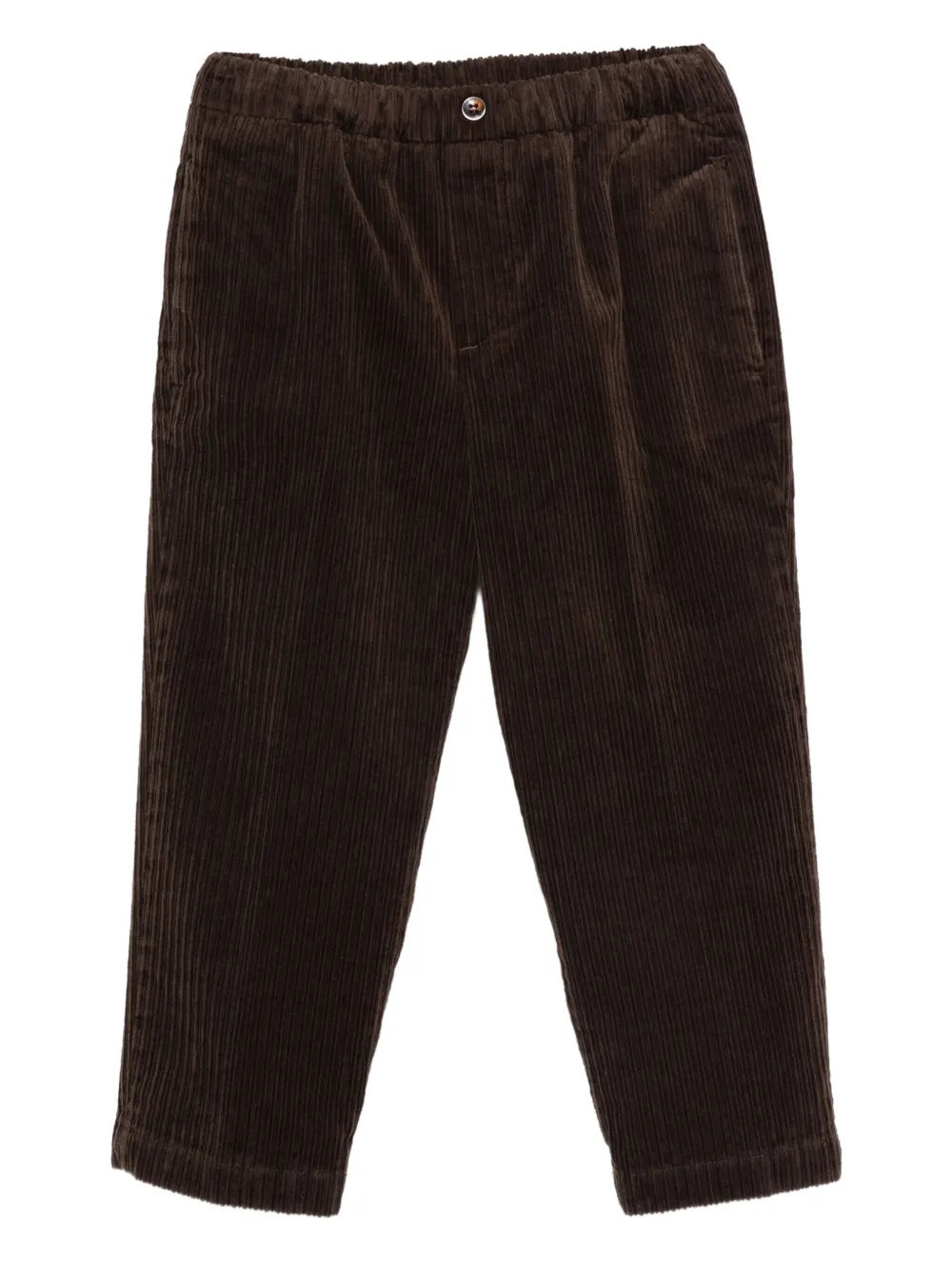 Siola Hose aus Cord | Braun | Image 1
