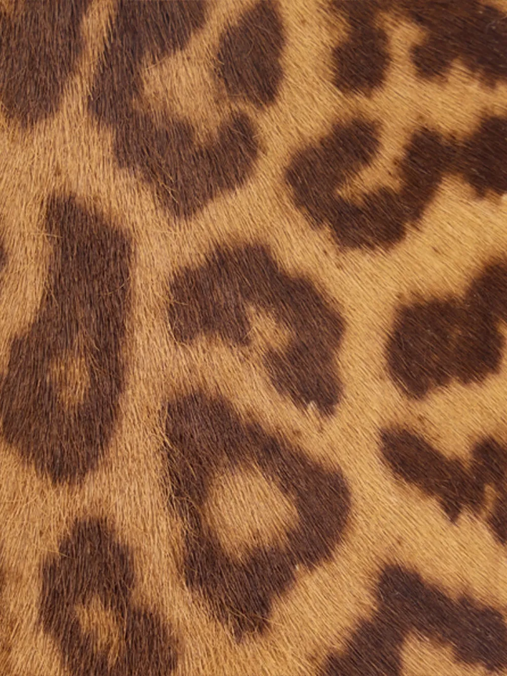 Roberto Cavalli Jaguar Skin Print Zip-around Wallet In Animal Print