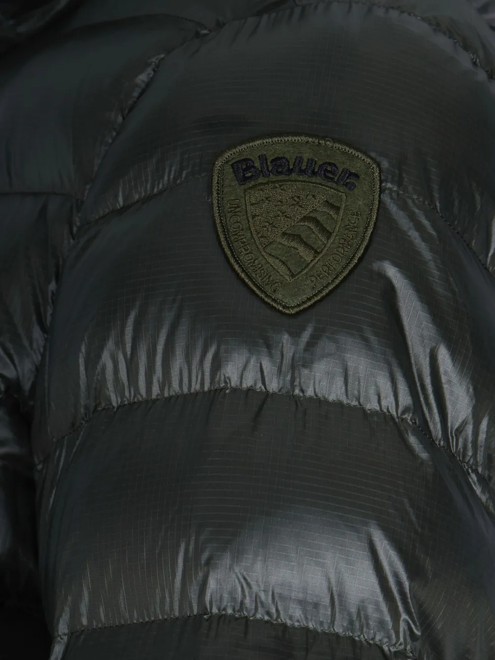 Blauer Adams Hooded Padded Jacket In Green